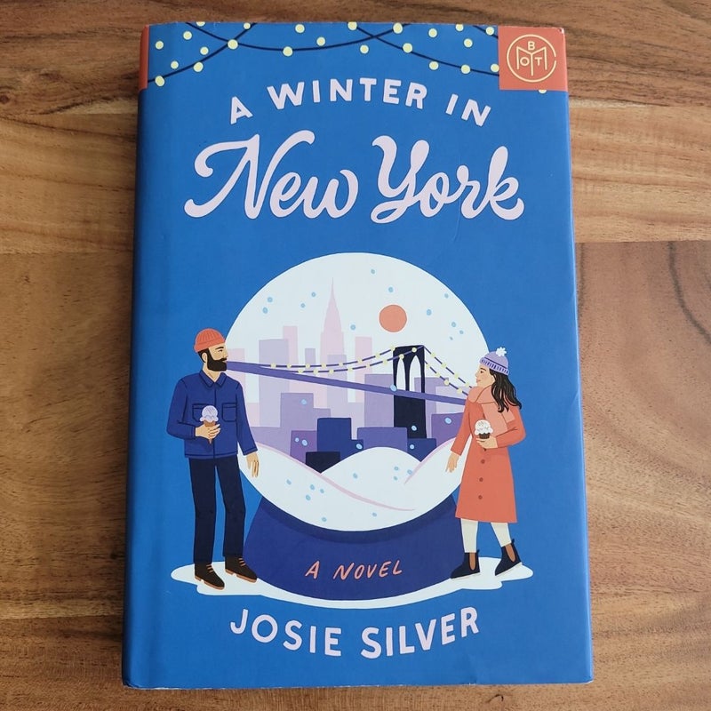 A Winter in New York