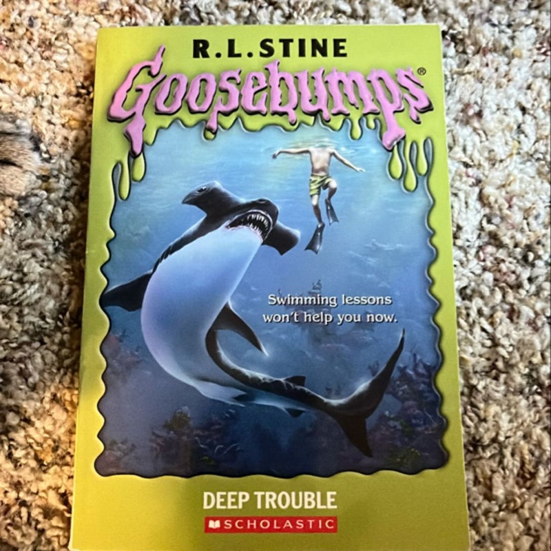 Goosebumps Book Lot