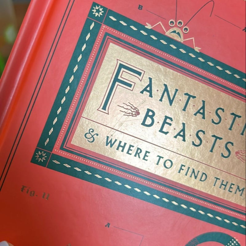 Fantastic Beasts and Where to Find Them