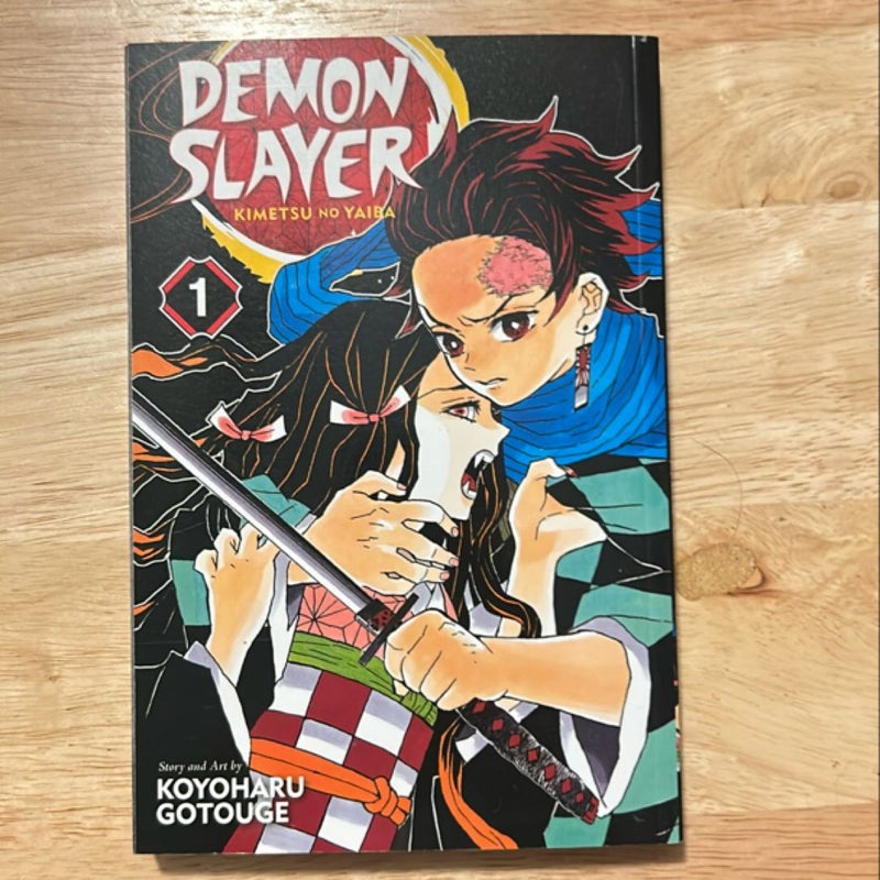 Demon Slayer: Kimetsu No Yaiba, Vol. 1