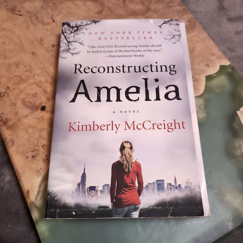 Reconstructing Amelia