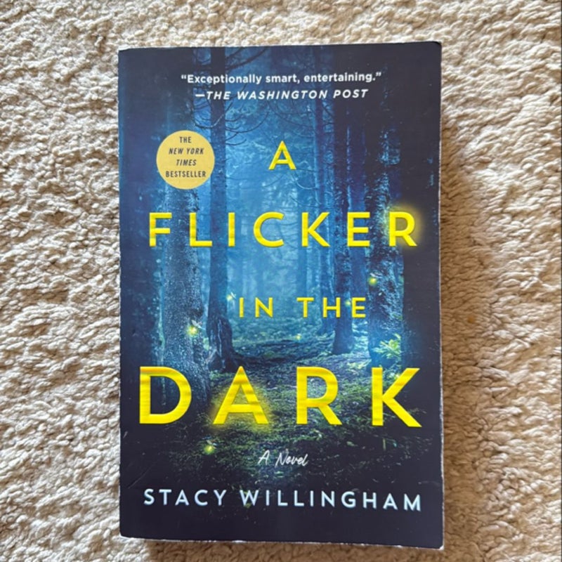A Flicker in the Dark
