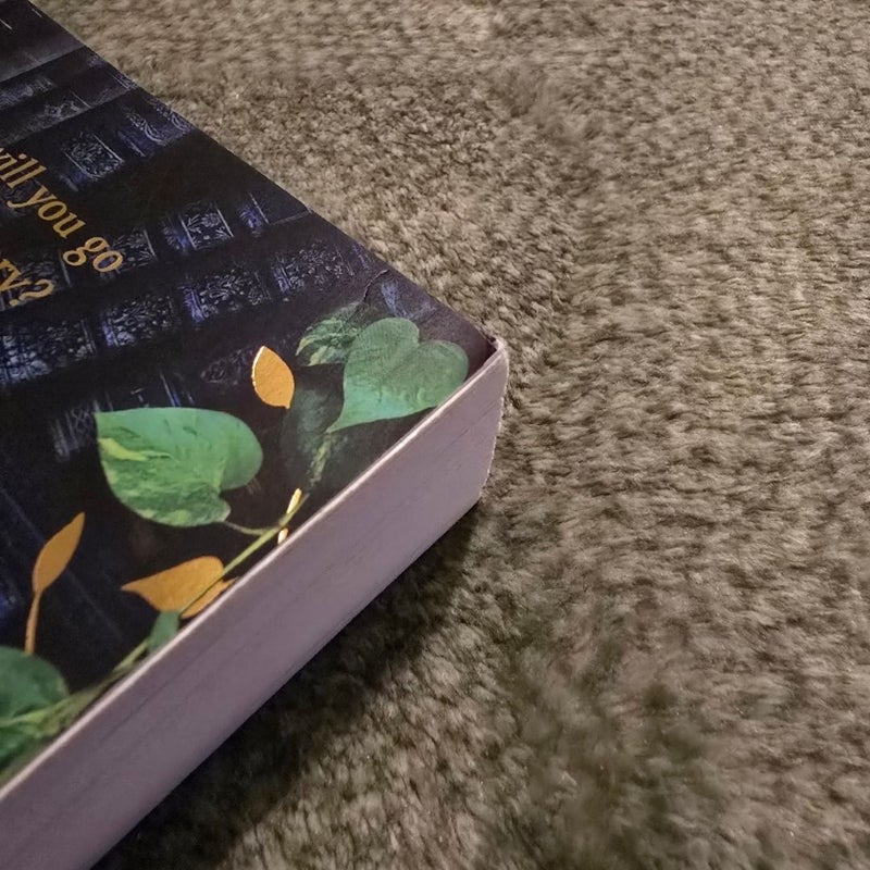 The Lost Bookshop