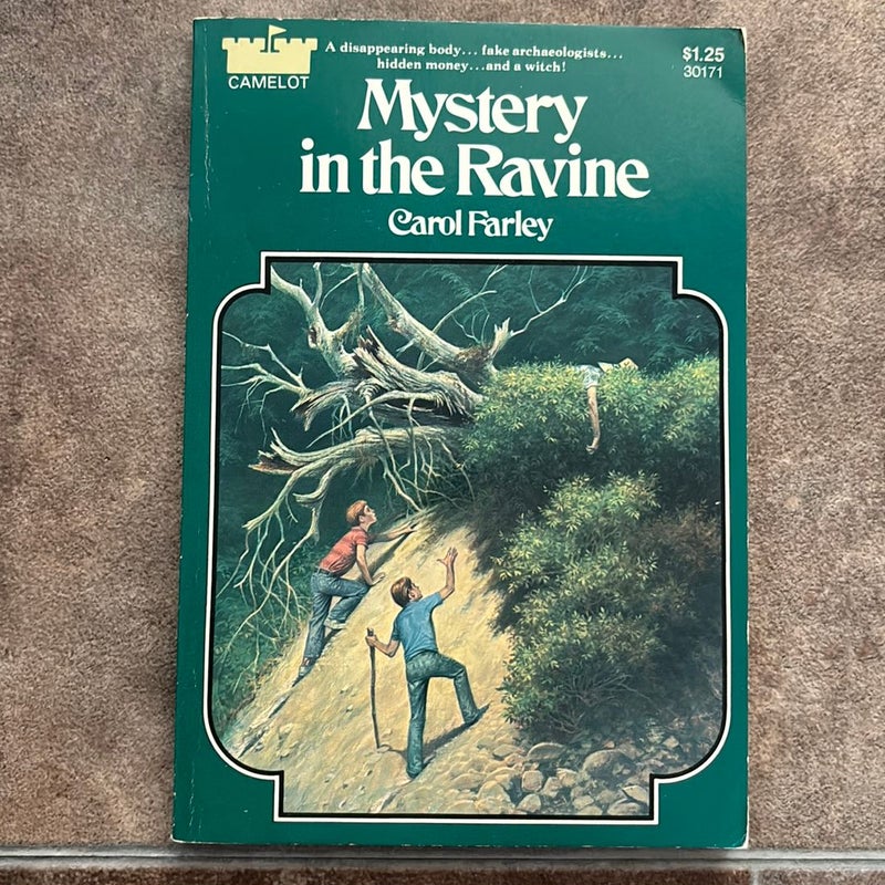 Mystery in the Ravine