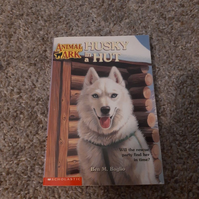 Husky in a Hut