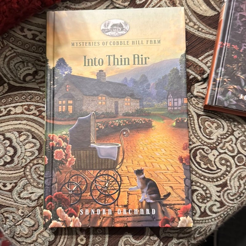 Into Thin Air
