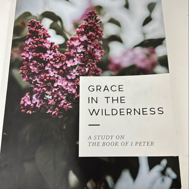 Grace in the Wilderness