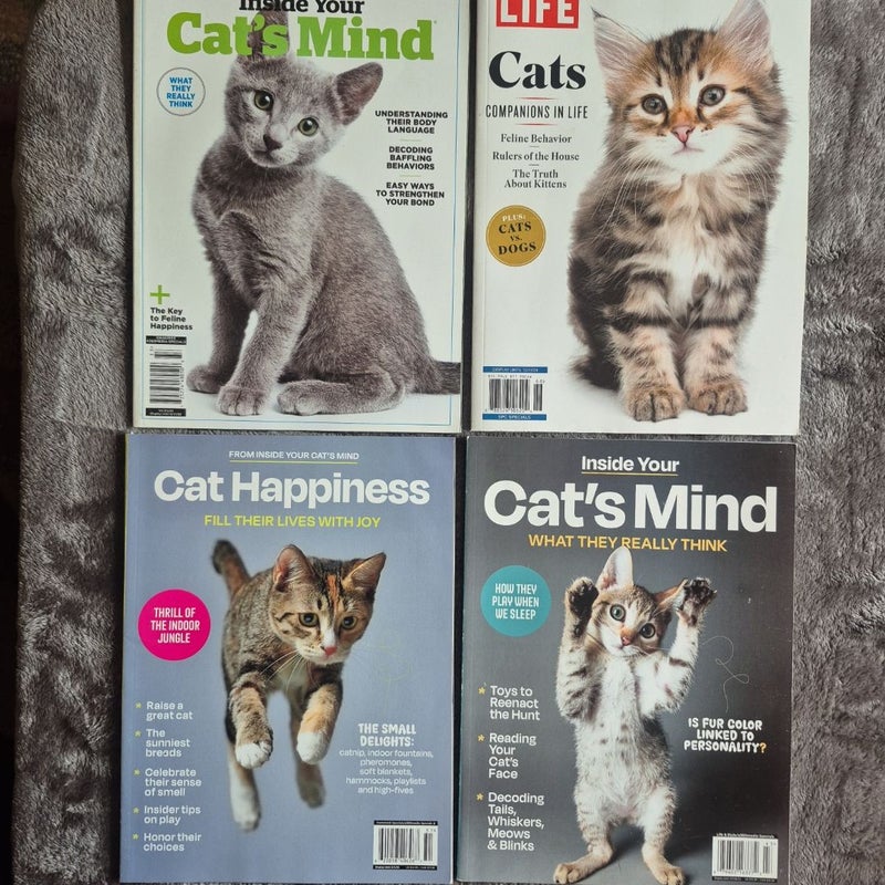 4 Magazines All About Cats