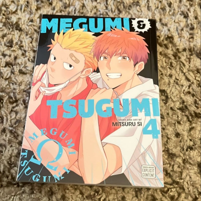 Megumi and Tsugumi, Vol. 4