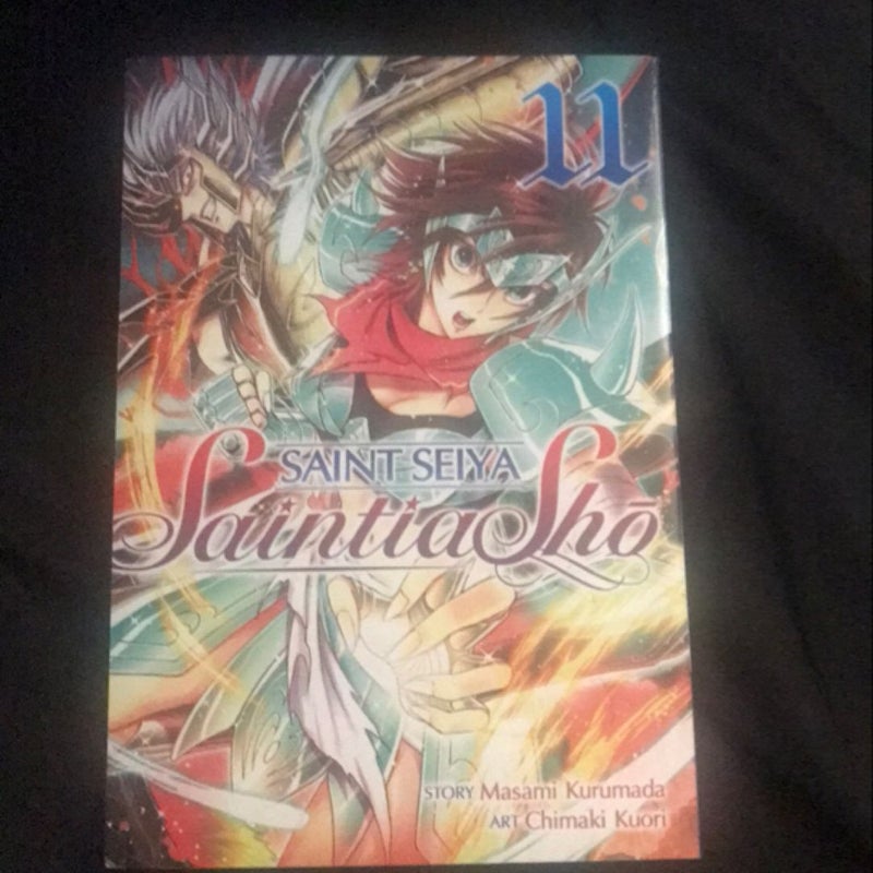 Saint Seiya: Saintia Sho Vol. 11