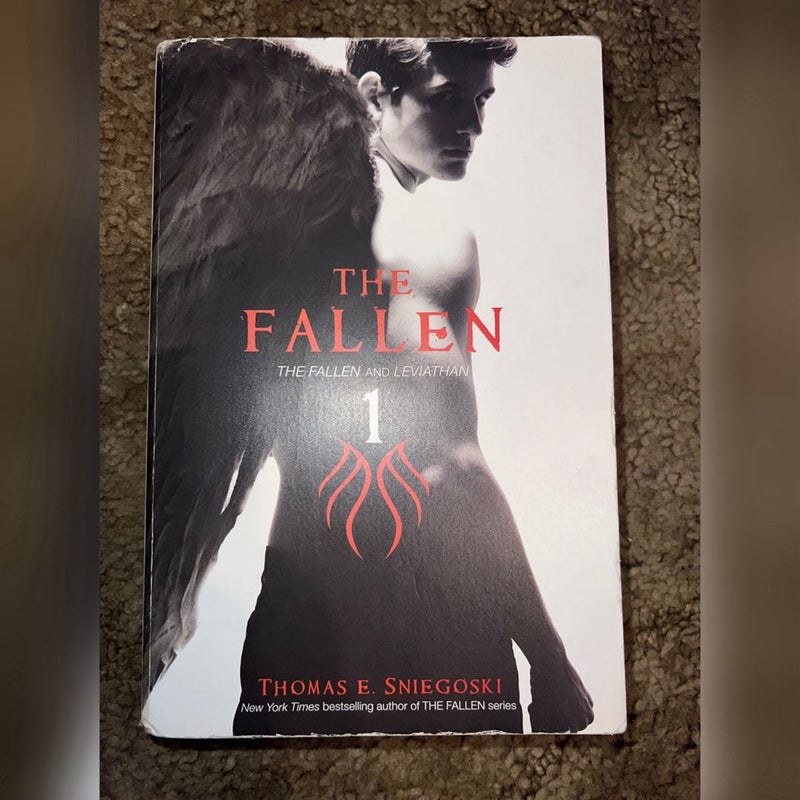 The Fallen Series: Books 1 & 2