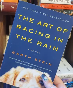 The Art of Racing in the Rain