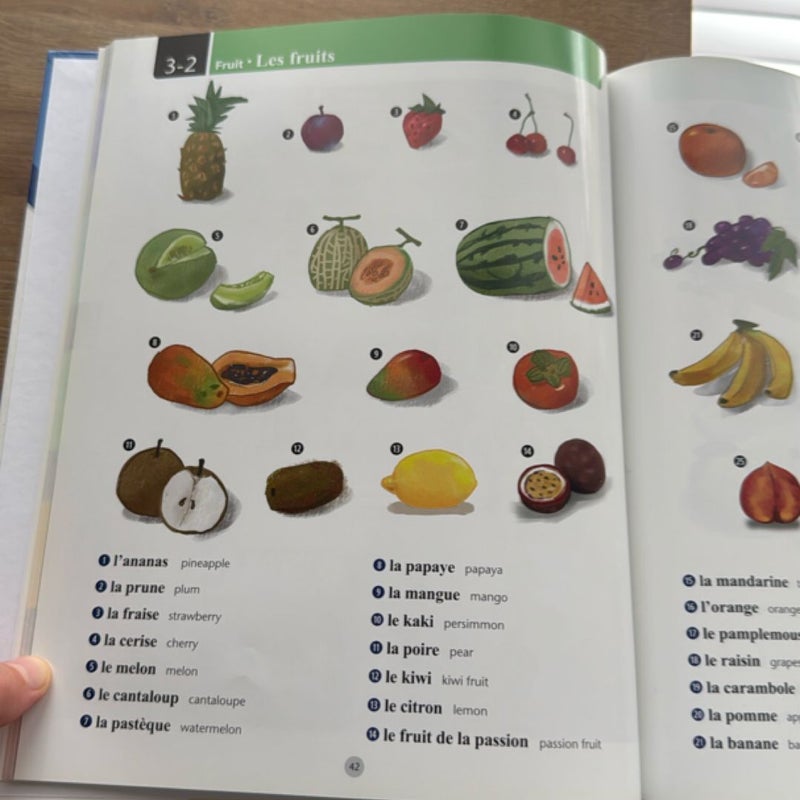 McGraw-Hill's French Illustrated Dictionary