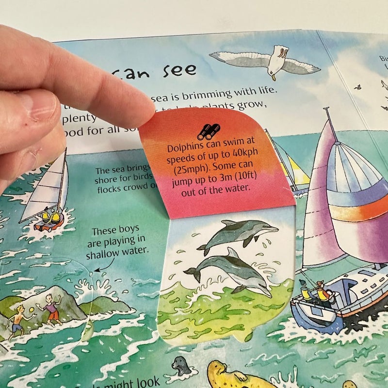 Usborne Flap Book-See Under the Sea