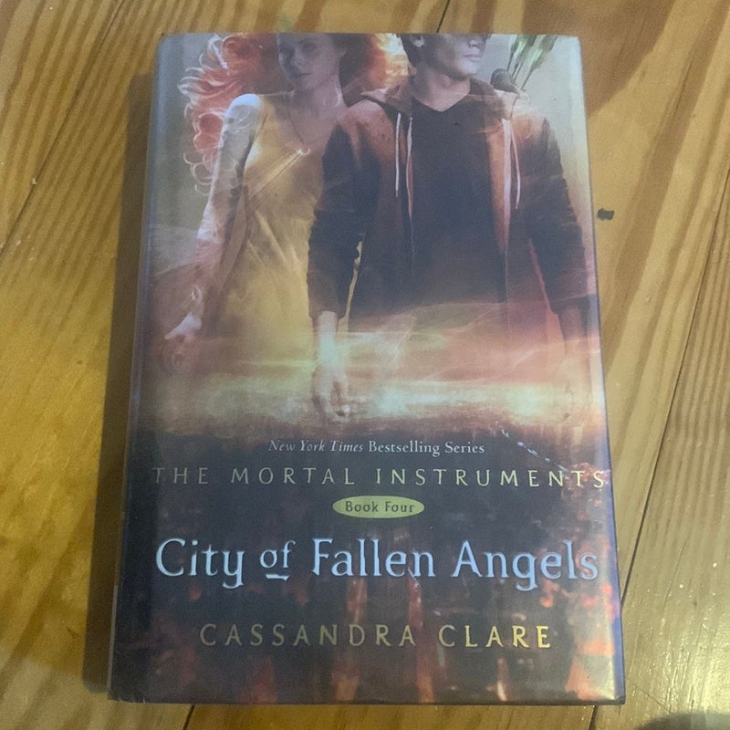 City of Fallen Angels