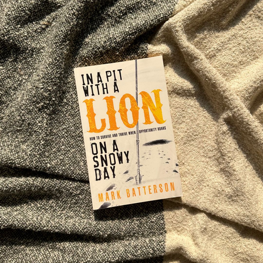 In a Pit with a Lion on a Snowy Day