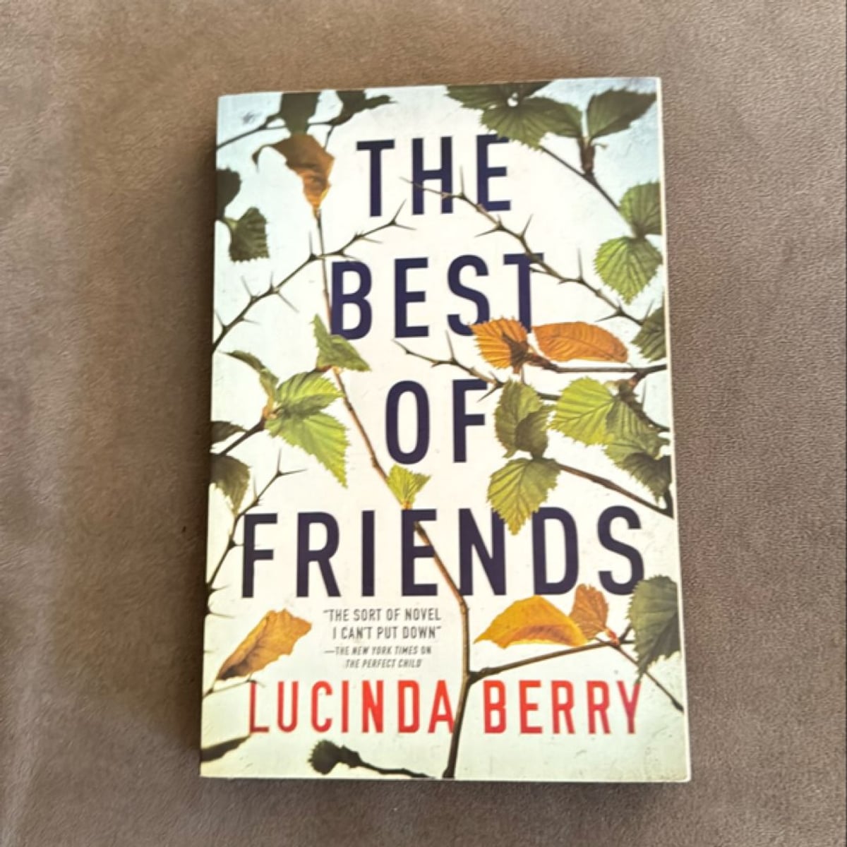 The Best of Friends by Lucinda Berry