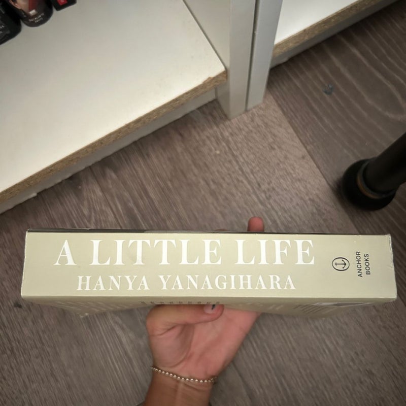 A Little Life