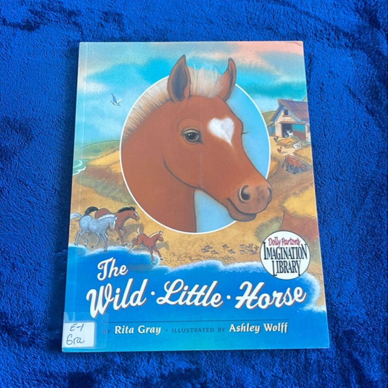 The Wild Little Horse