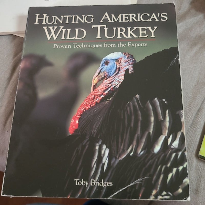 Hunting America's Wild Turkeys