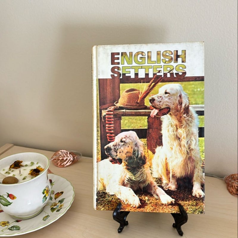 English Setters