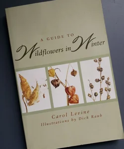 A Guide to Wildflowers in Winter