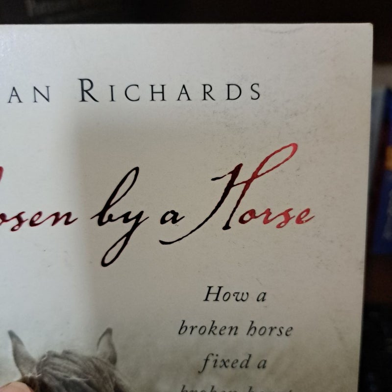 Chosen by a Horse