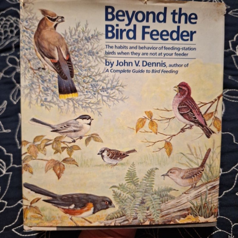 Beyond the bird feeder 