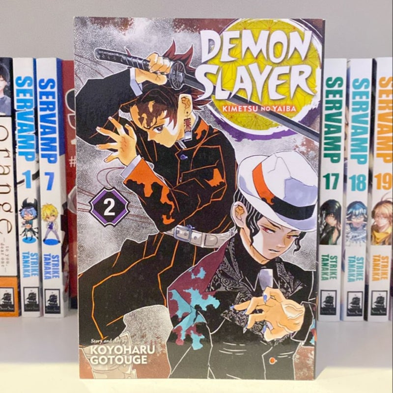 Demon Slayer: Kimetsu No Yaiba, Vol. 2