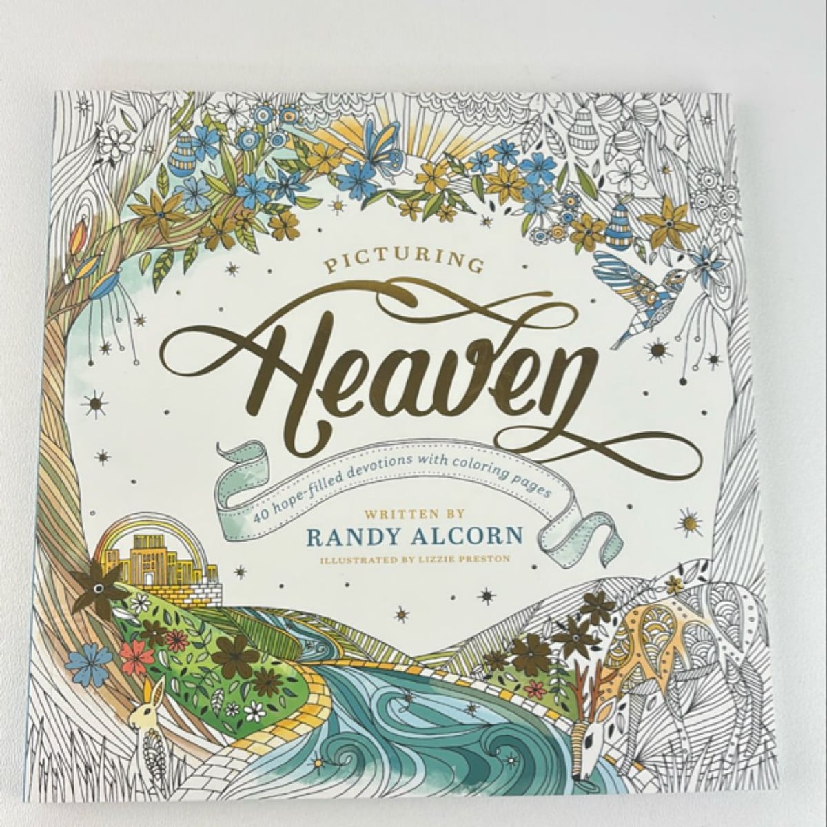 Picturing Heaven by Randy Alcorn