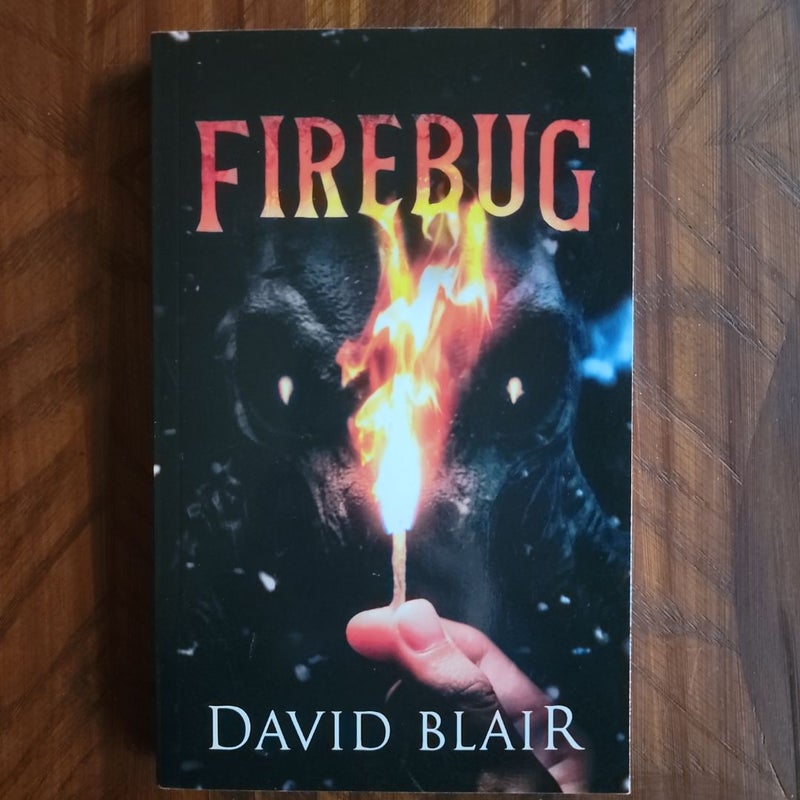 Firebug: a Novel