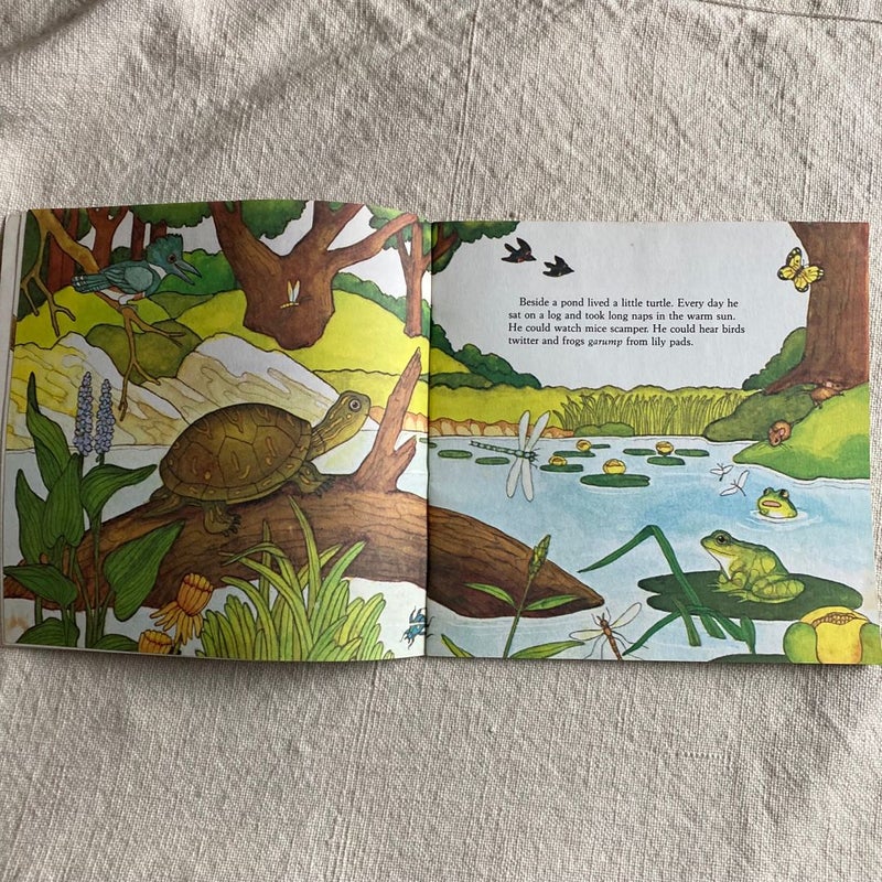 Little Turtle's Big Adventure (1978)