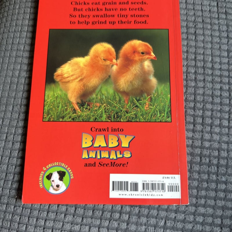 SeeMore Readers: Baby Animals - Level 1