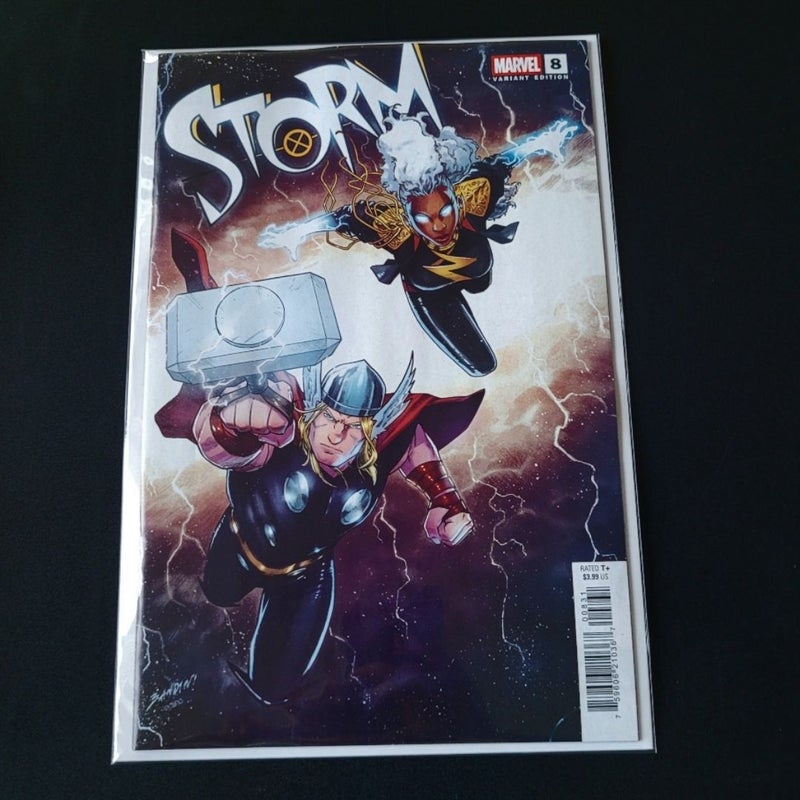 Storm #8