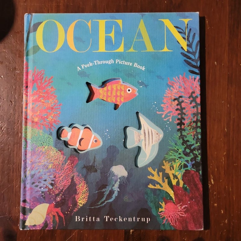 Ocean: a Peek-Through Picture Book