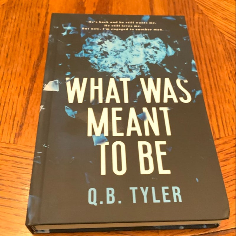 Q. B. Tyler book bundle 