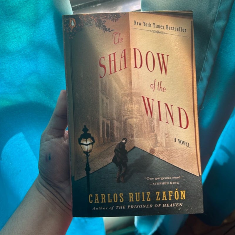 The Shadow of the Wind
