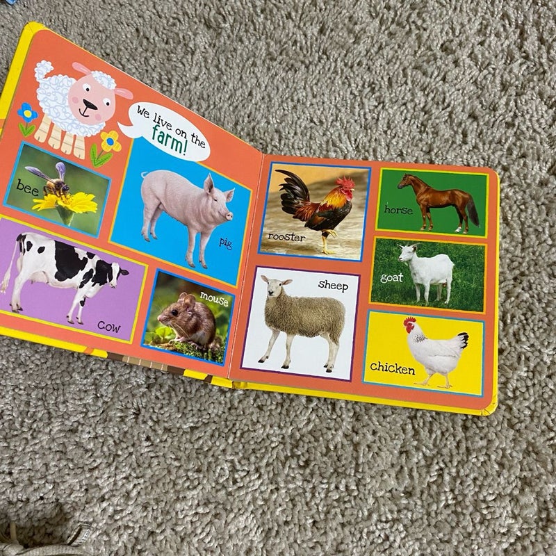 I'm Learning My First 101 Animals! Board Book