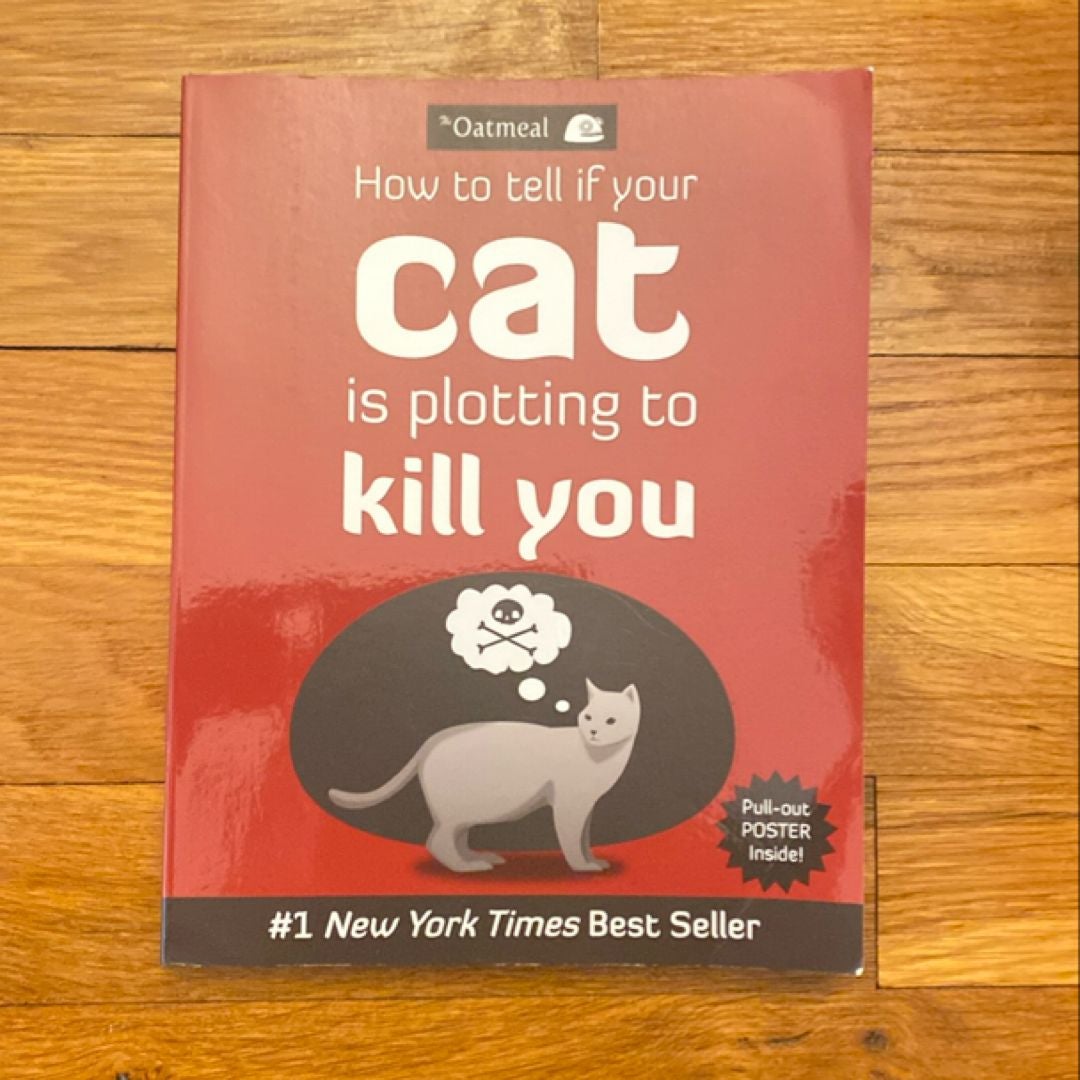 How to Tell If Your Cat Is Plotting to Kill You