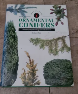 Identifying Guide to Ornamental Conifers