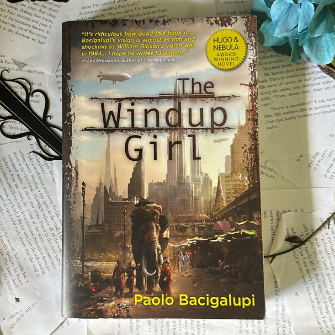 Sale image for ebdb1f5b-ea6e-4626-982c-65e7154339d1-6UBJHvZmrLg6A95FRc297OyWeG63