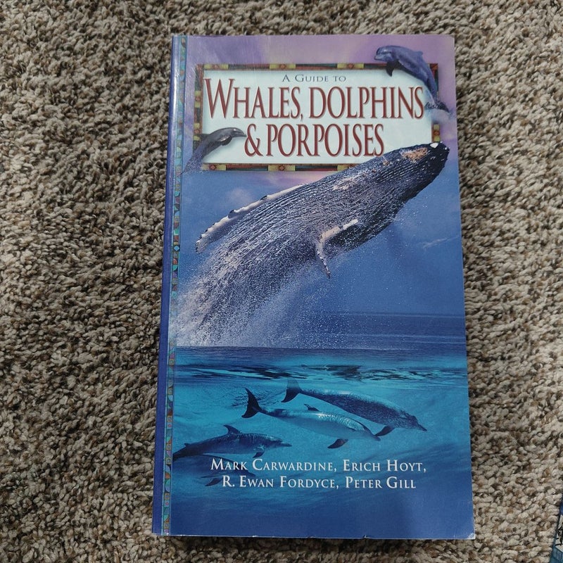 Whales, Dolphins, and Porpoises