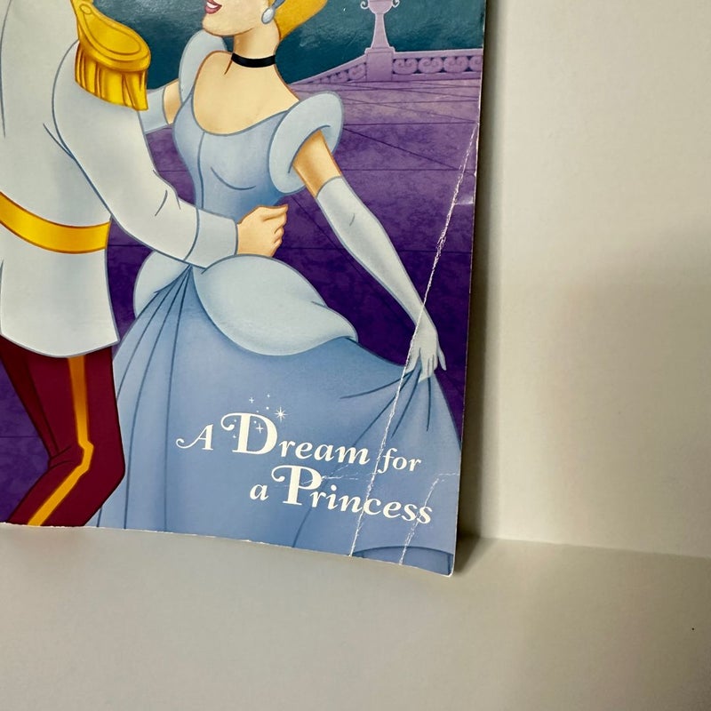 Disney A Dream for a Princess, Reader