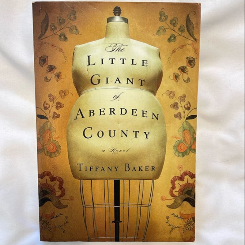 The little giant of Aberdeen County a novel