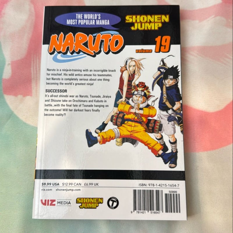 Naruto, Vol. 19