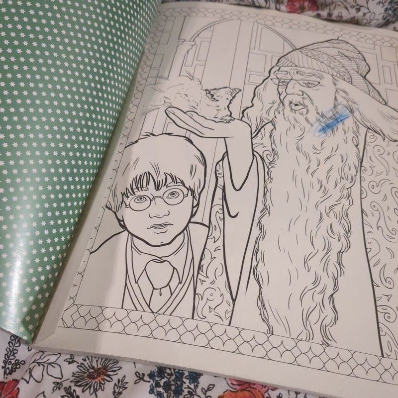 Harry Potter - Magical Creatures Coloring Book