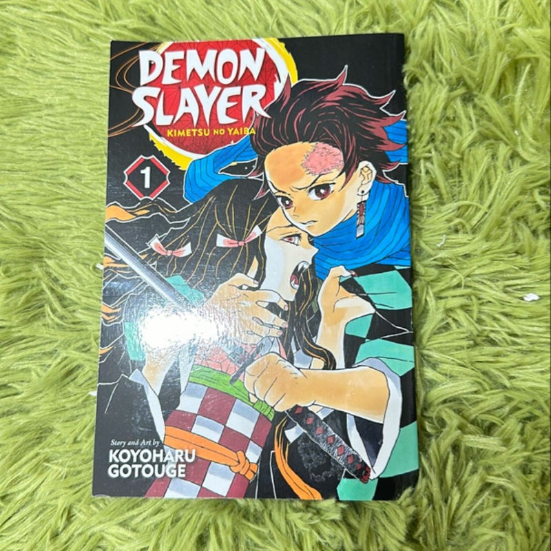 Demon Slayer: Kimetsu No Yaiba, Vol. 1