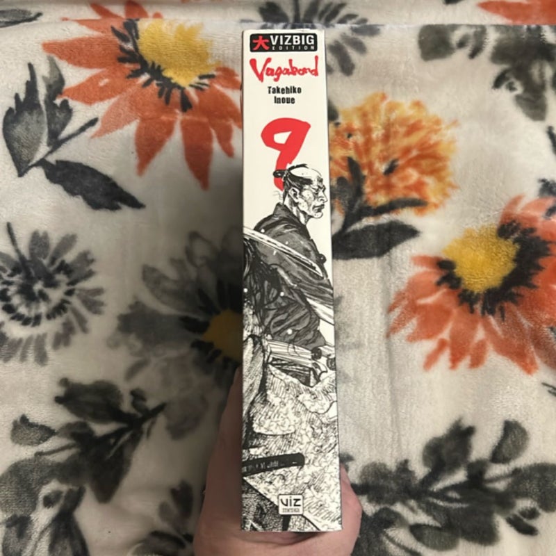 Vagabond (VIZBIG Edition), Vol. 9