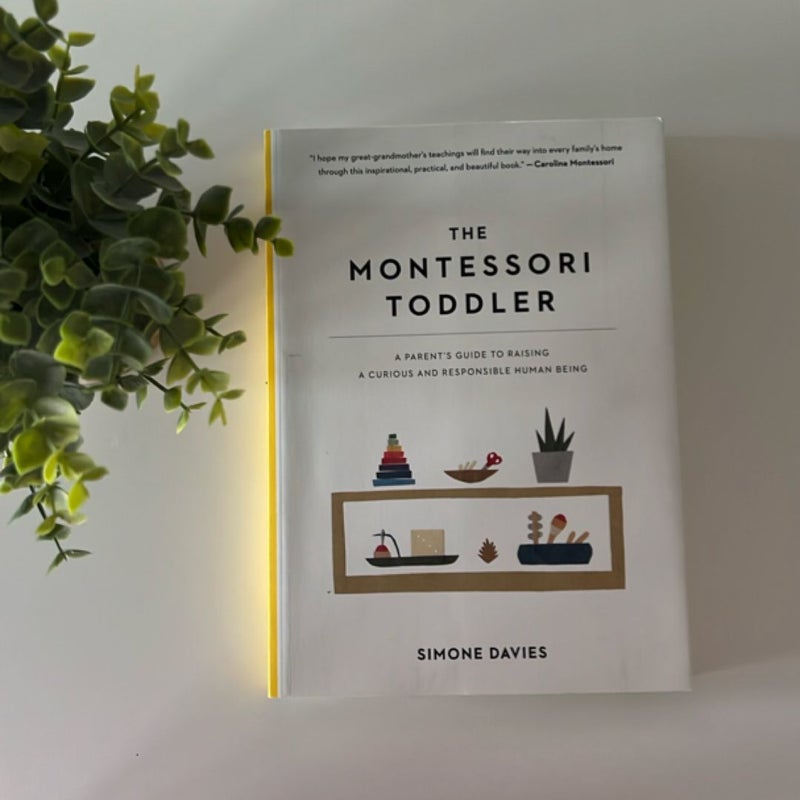 The Montessori Toddler