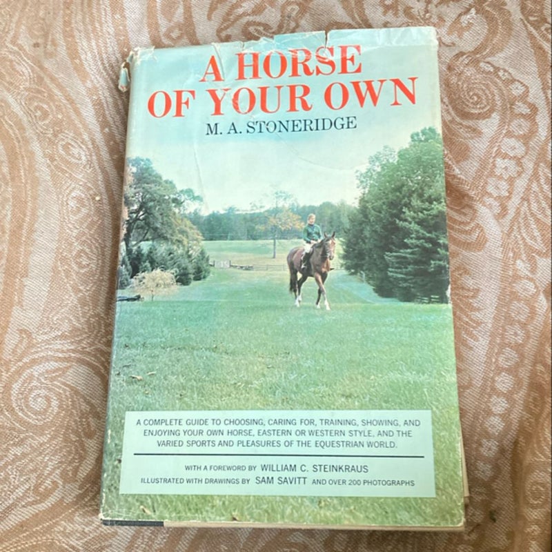  A Horse of Your Own